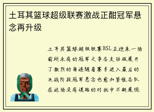 土耳其篮球超级联赛激战正酣冠军悬念再升级